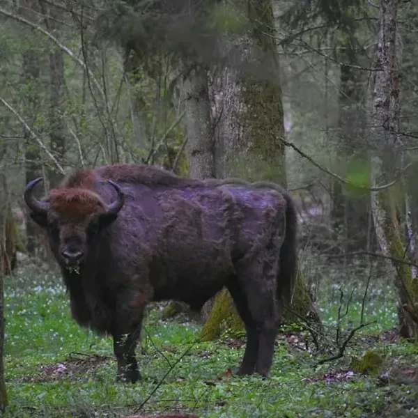 343673572_918494202689866_5016588986718168285_n