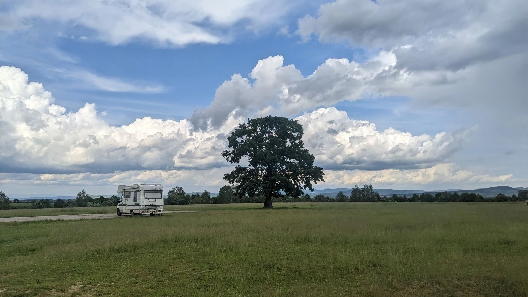 PXL_20230605_132518830