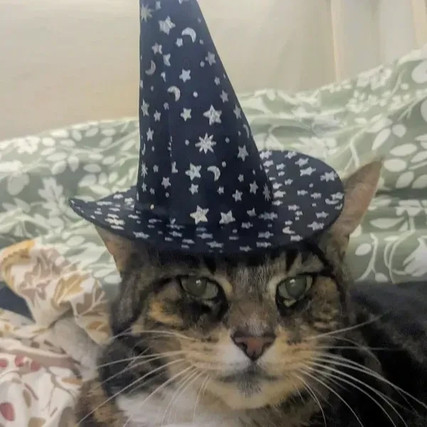 PXL_20251109_213321793~2