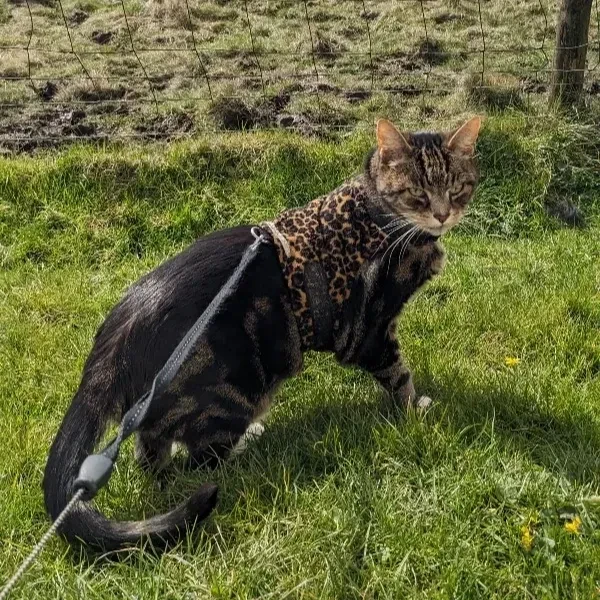 PXL_20240402_104007520