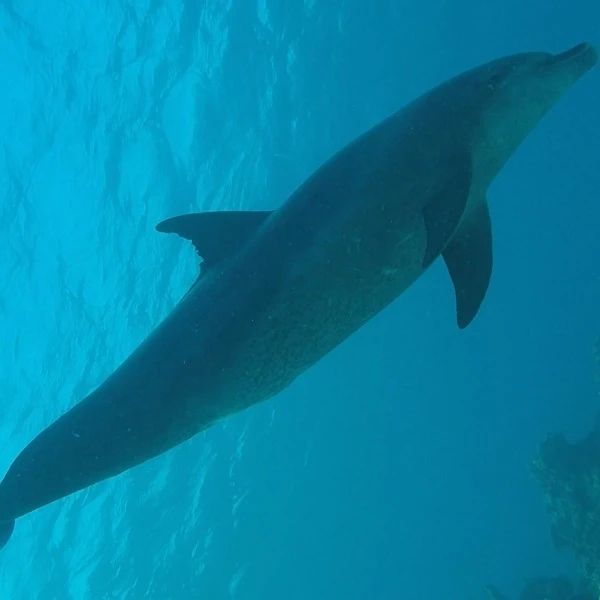 GOPR2763_1578494701327_high-v1