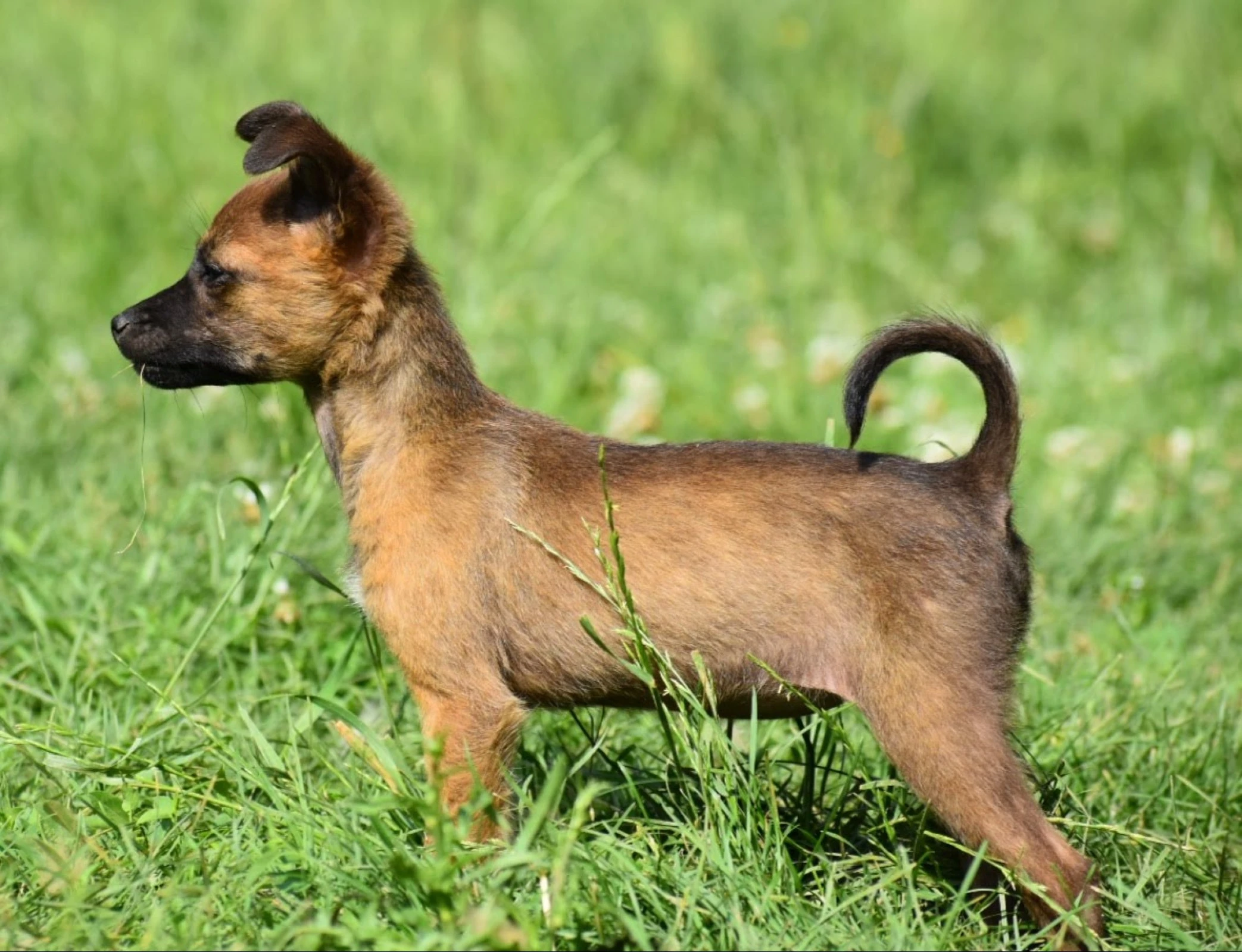 Standing to attention