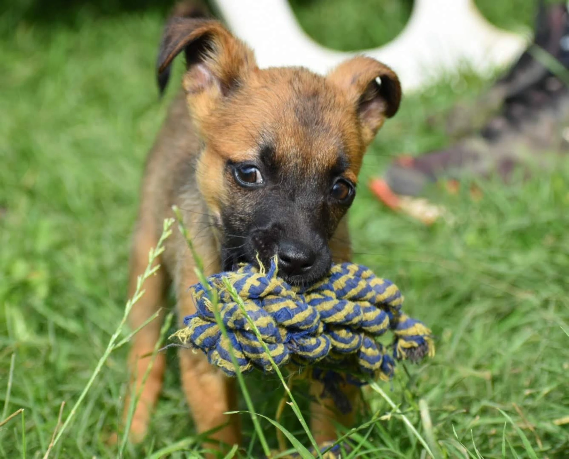 But they were all very cute!