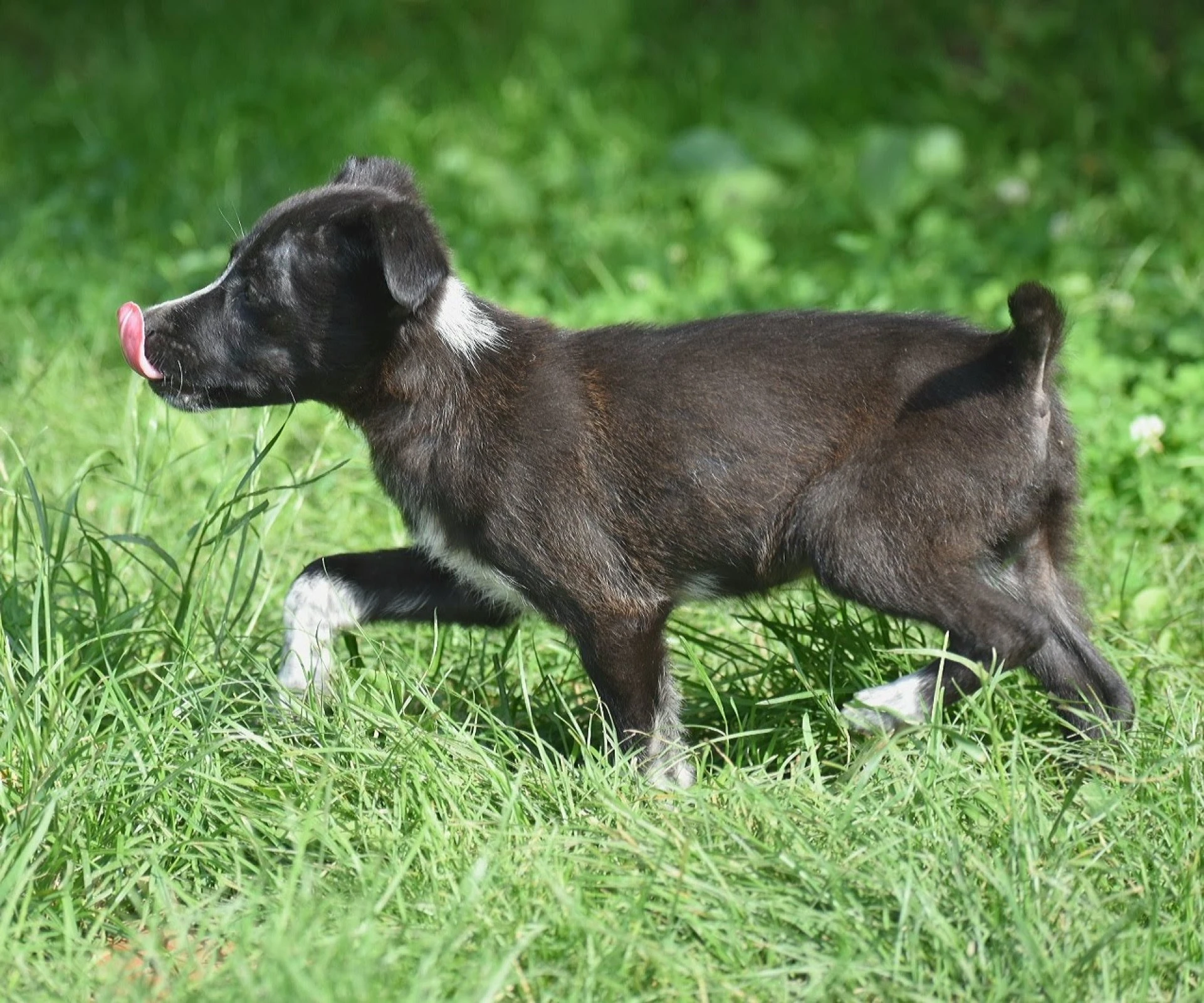 I could never remember which is which