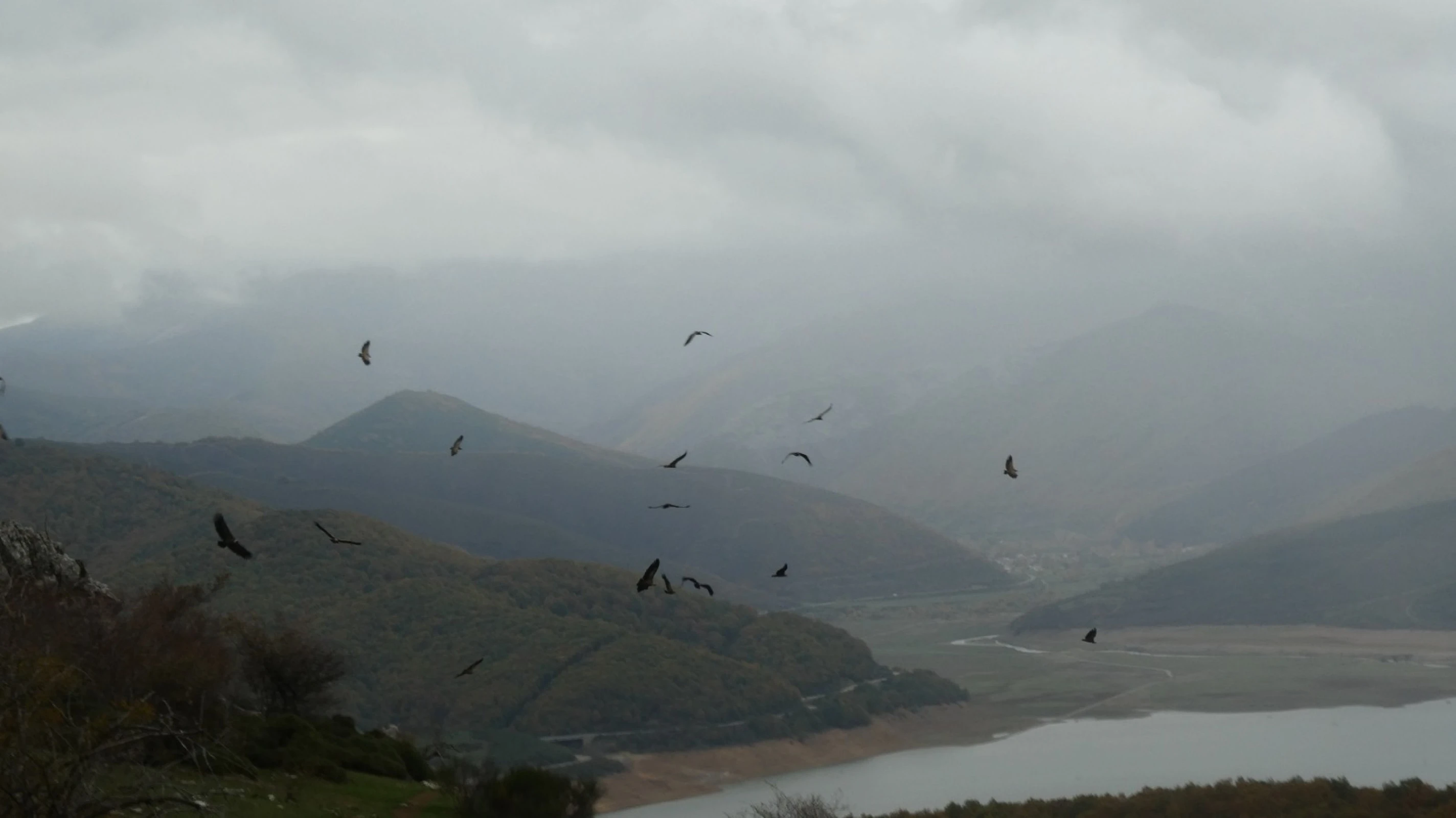 How do they not crash into each other?