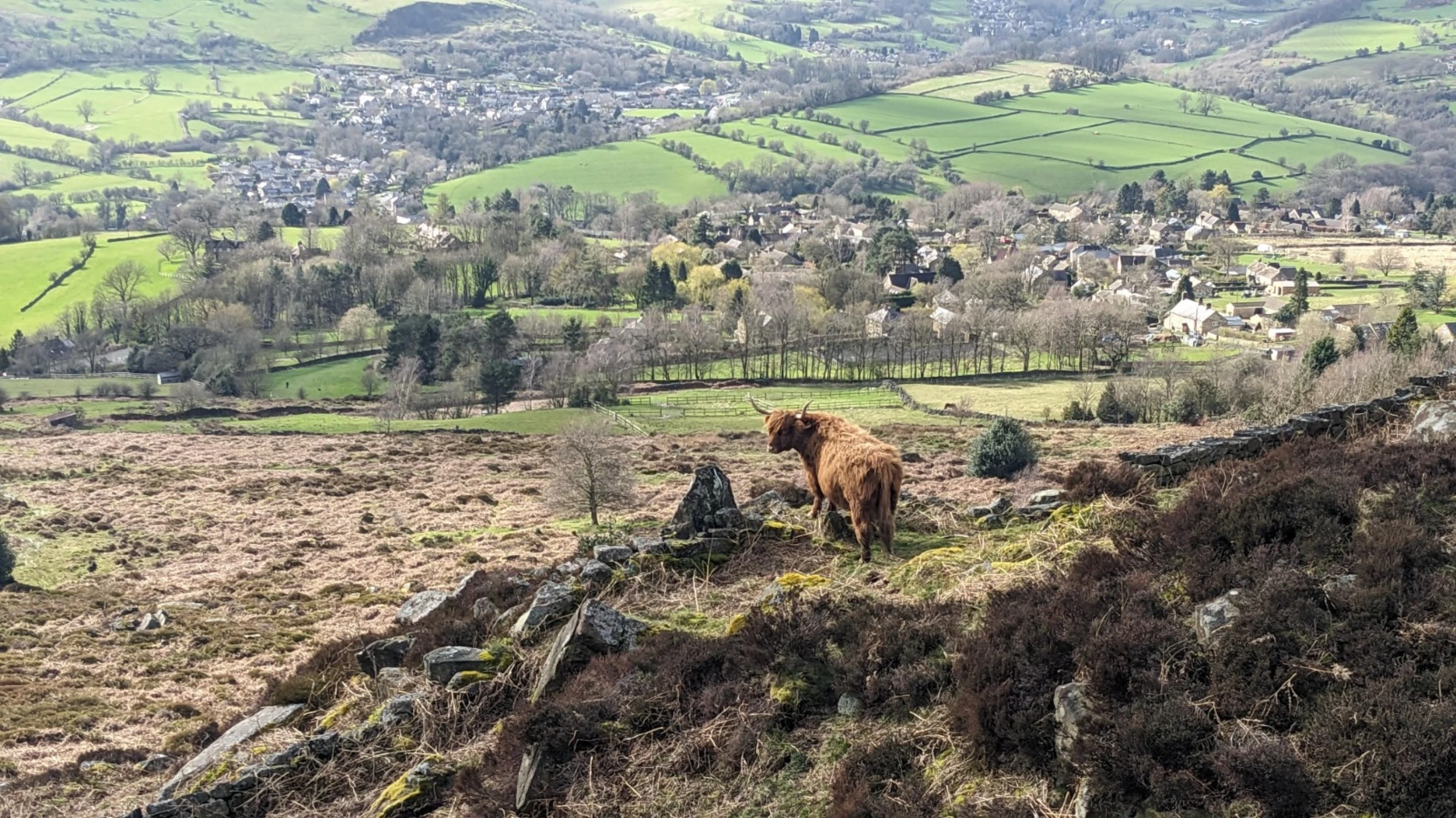 A landscape manager surveying their work