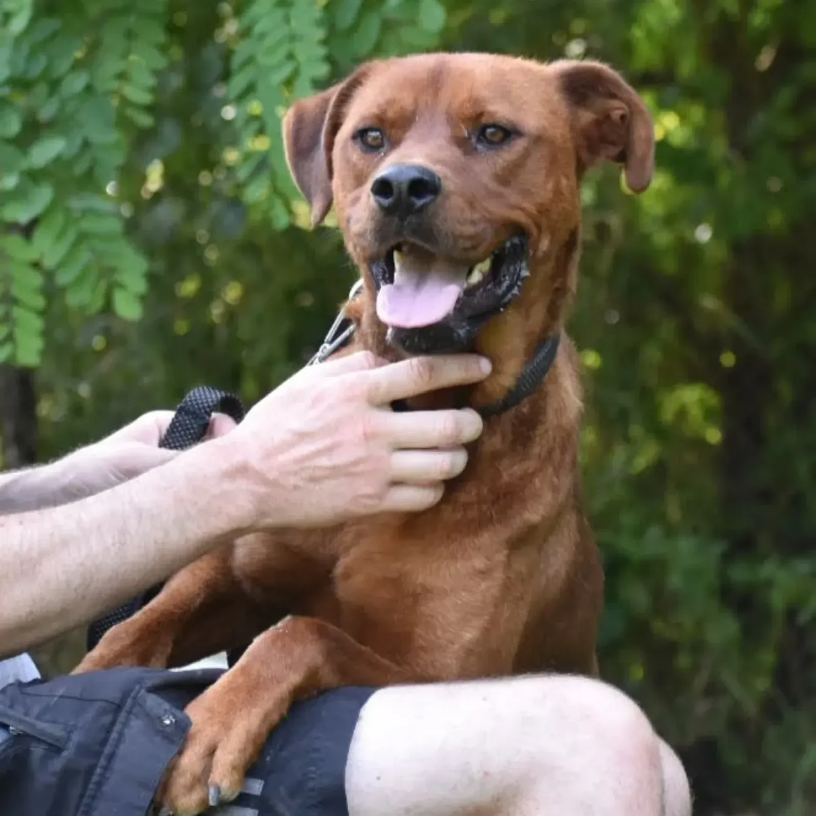 Buck also being friendly!