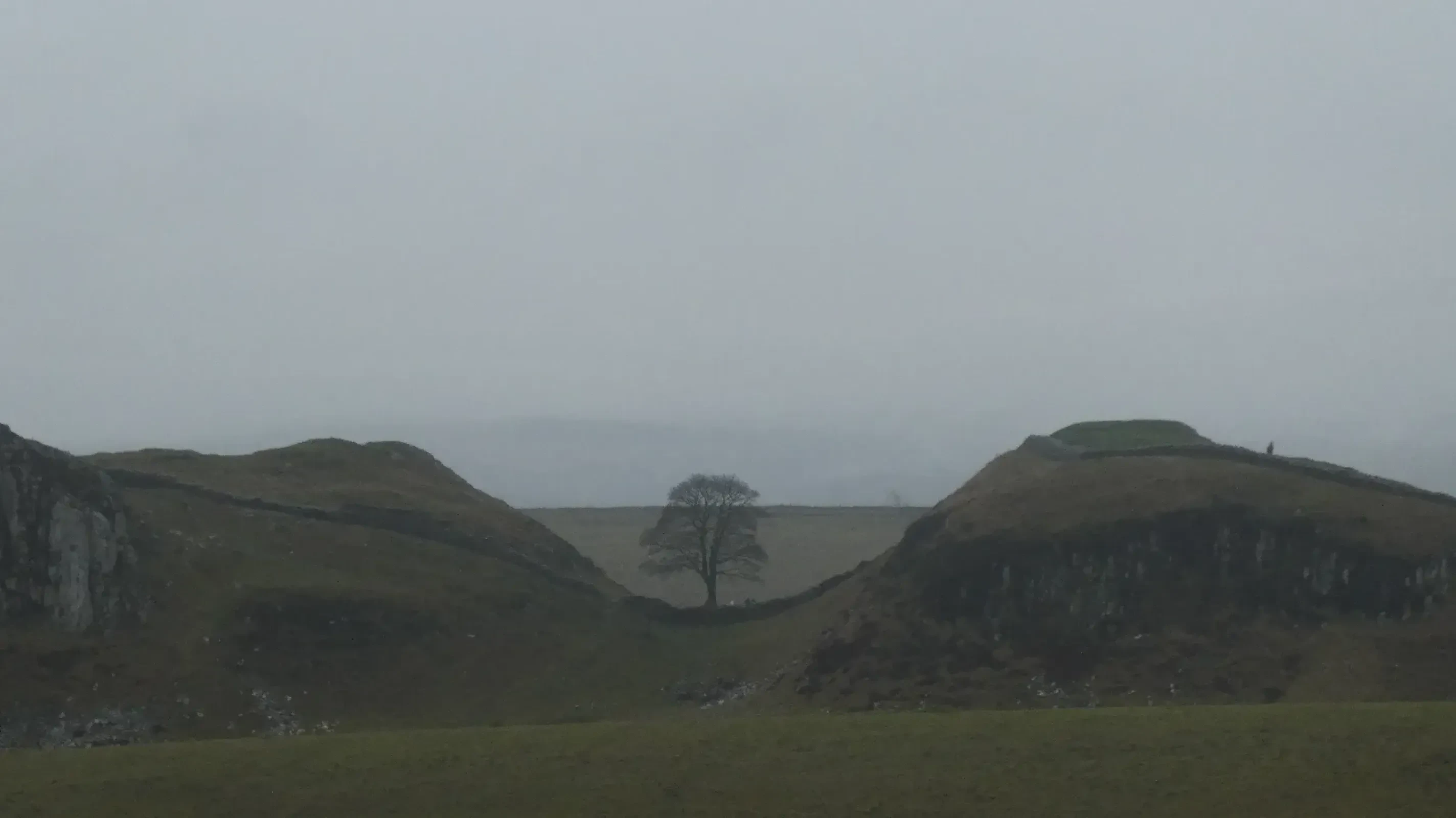 Sycamore Gap from the 