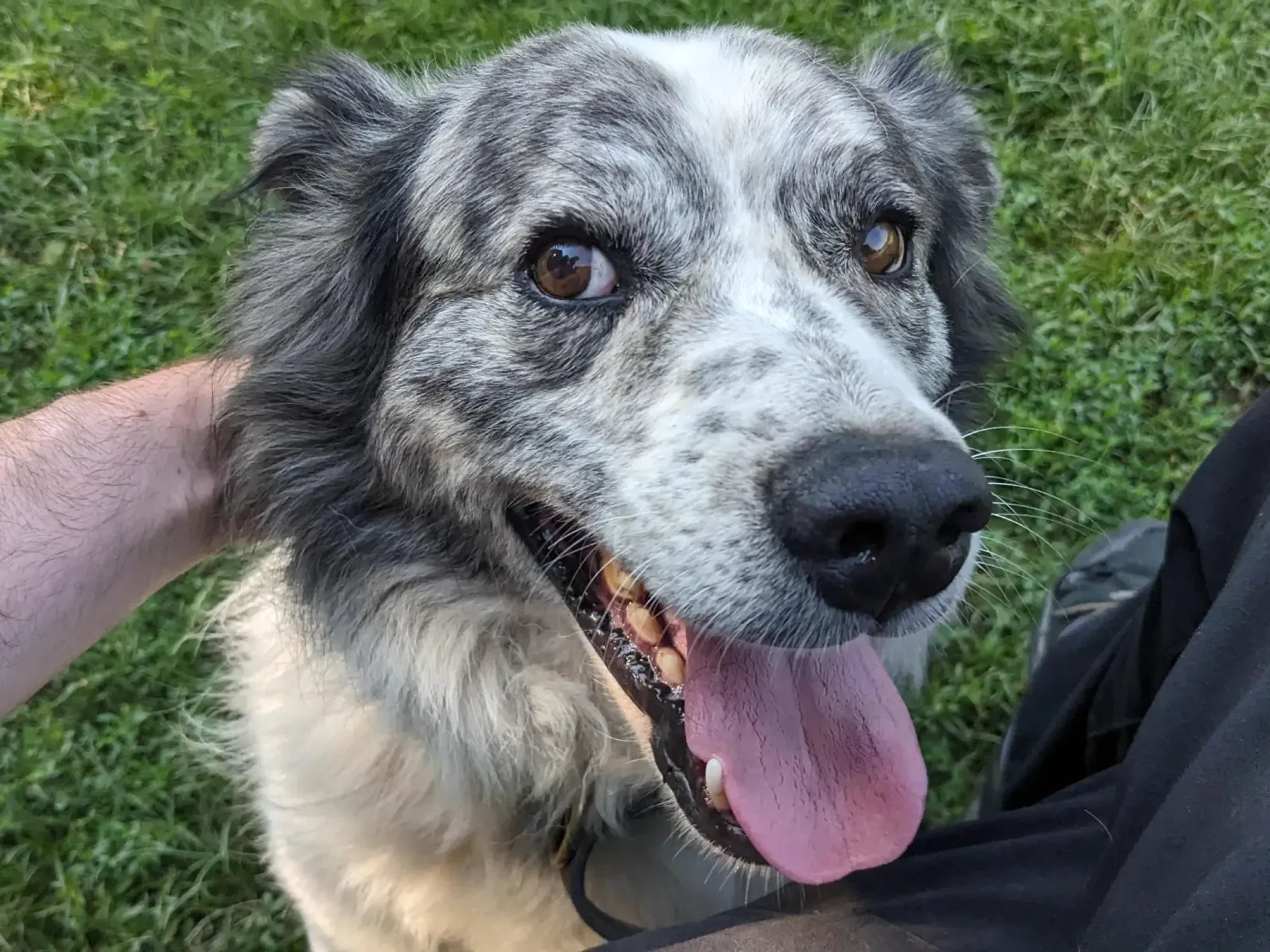 Buster giving me the eye