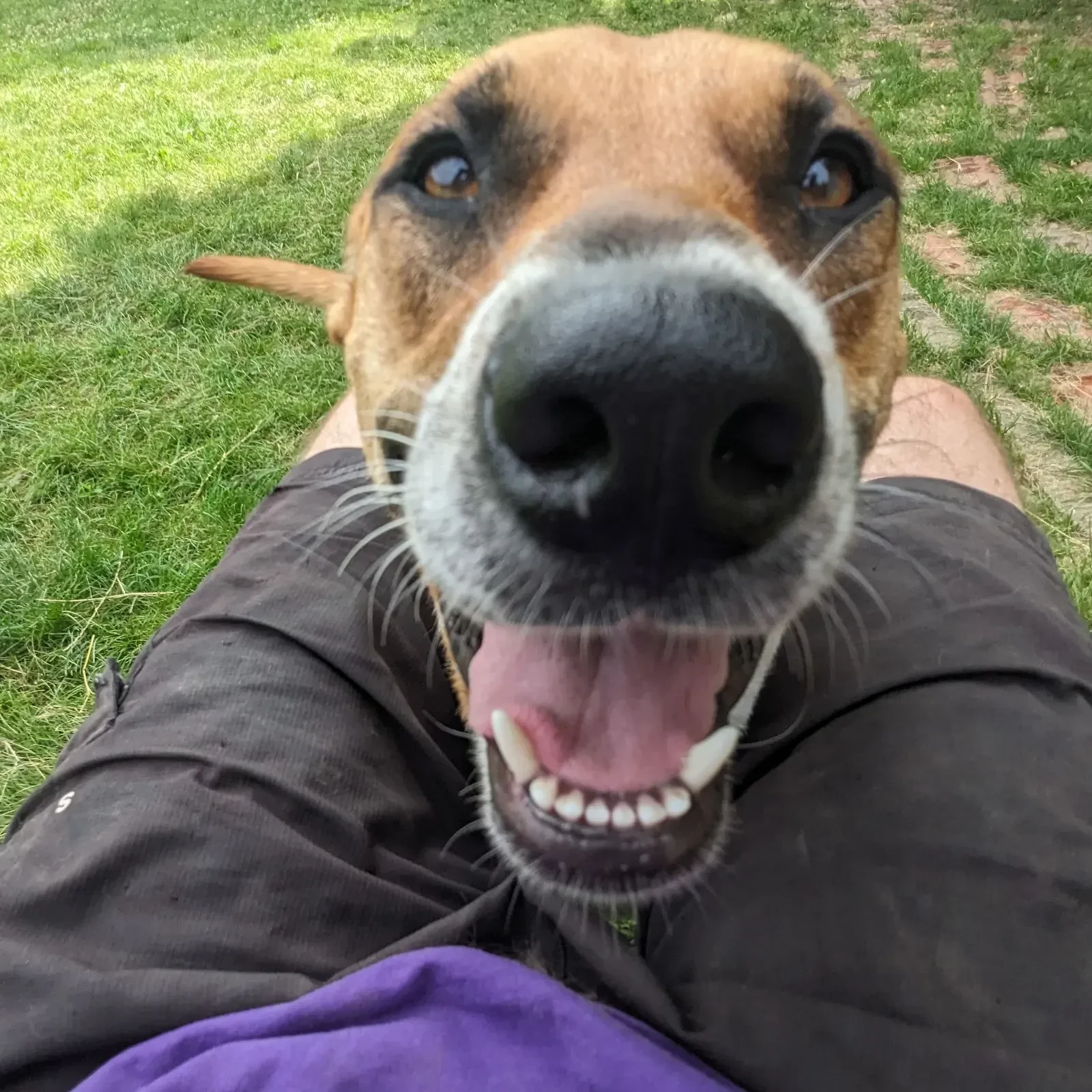 Esme sticking her nose in