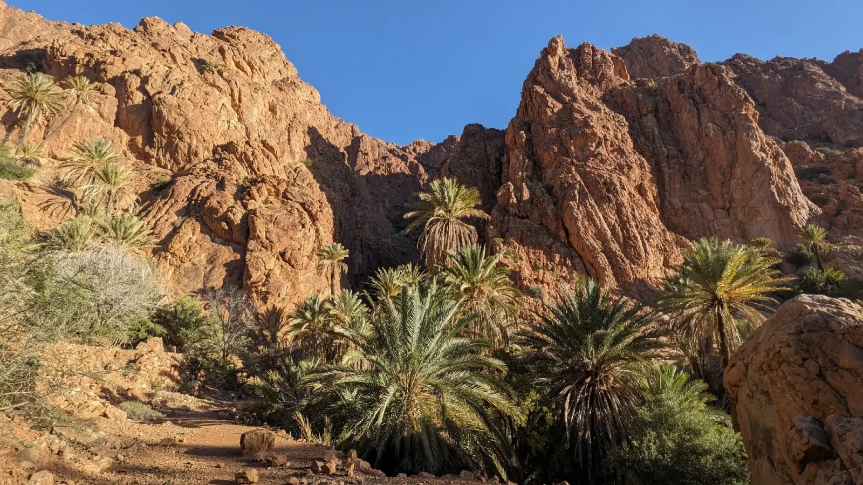 Palm tree gorge - stunning