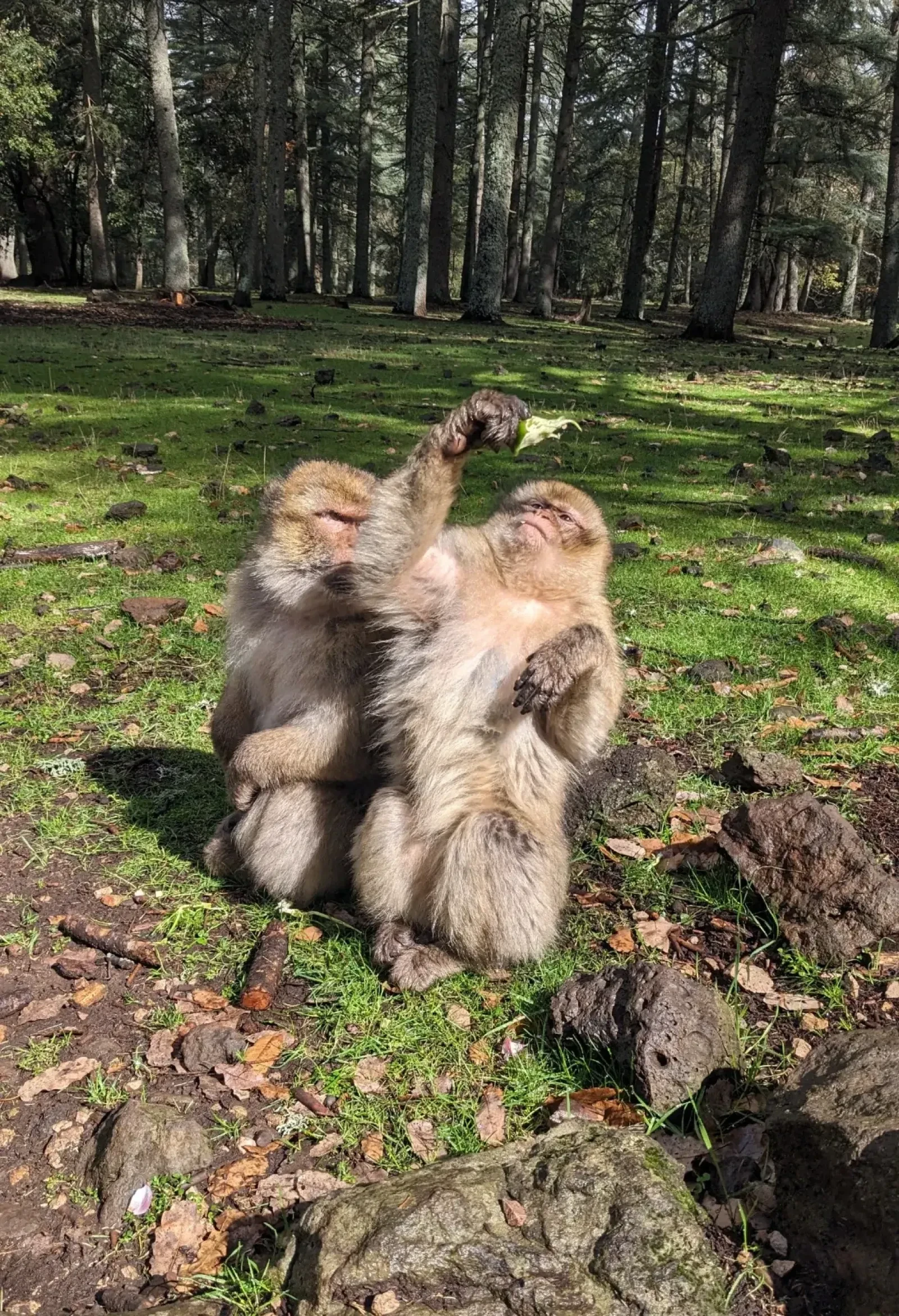 Hmmm, what have we here?