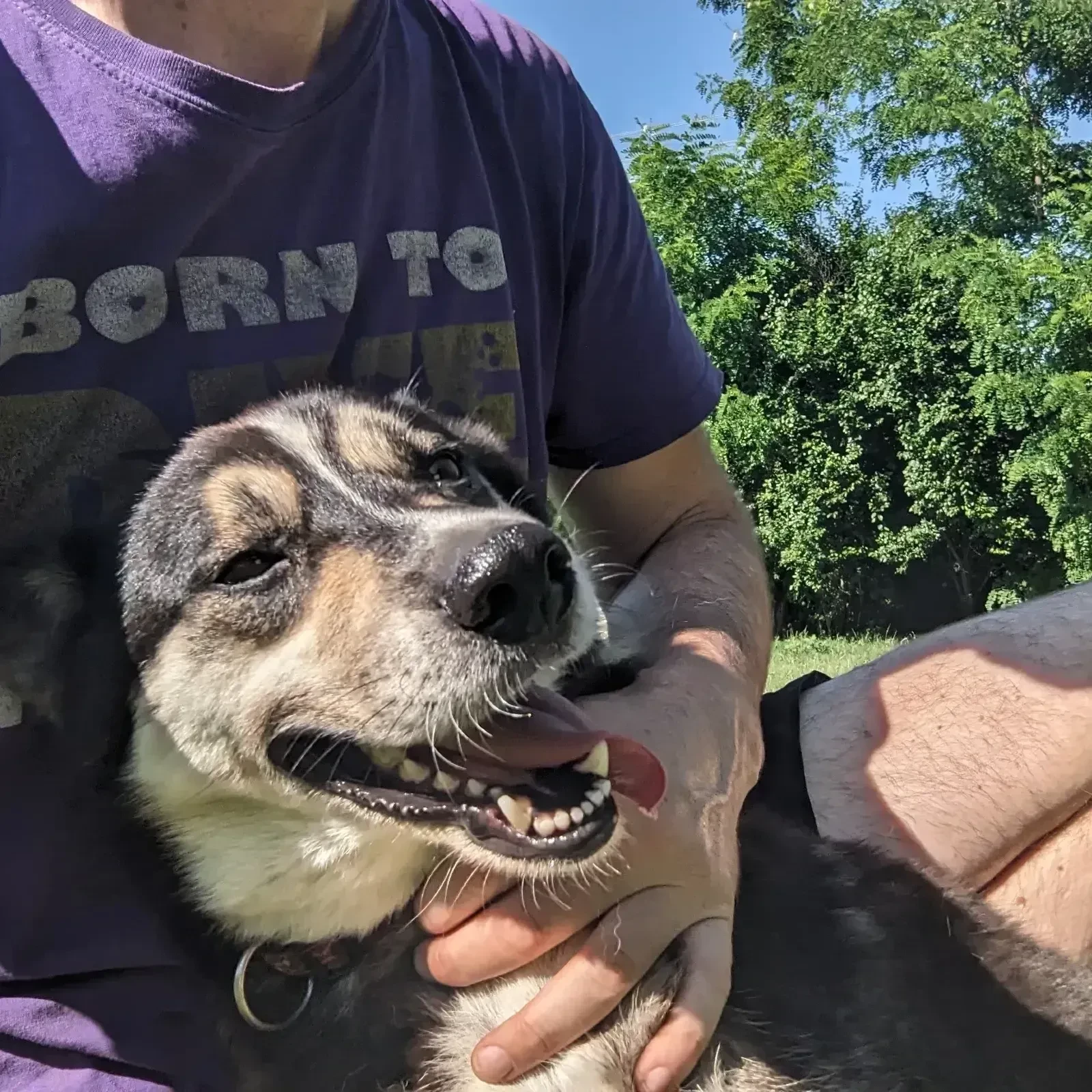 Chuck being friendly as usual