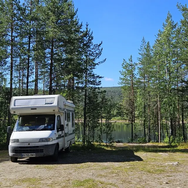 Pine forest, lake - Normal for Sweden
