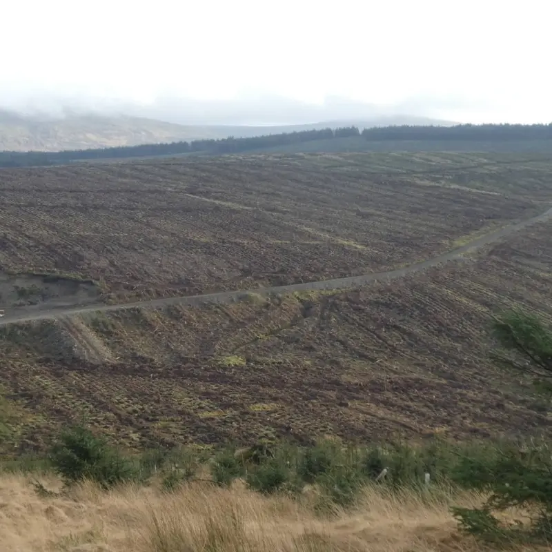 Somewhat lacking in biodiversity